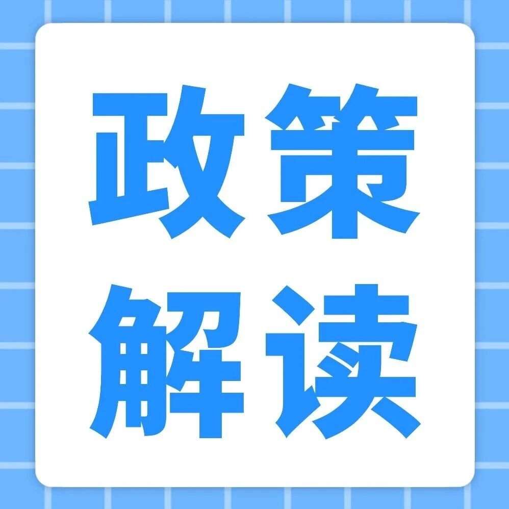 以编程育人为抓手：构筑中小学科技教育高质量发展新生态