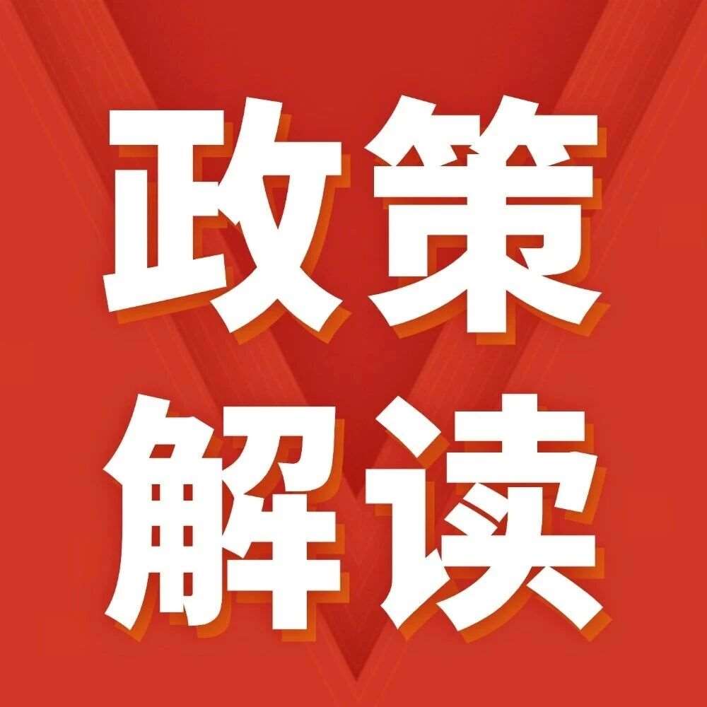 编程何以成为升学新杠杆？关键在于借力政策风口